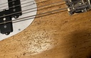 Bacci Amrita Woodworm bass (Michael League signature)