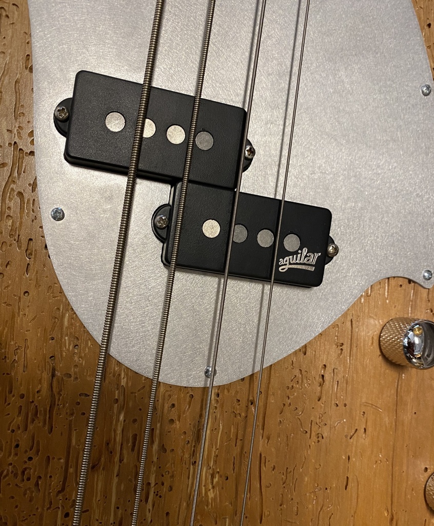 Bacci Amrita Woodworm bass (Michael League signature)