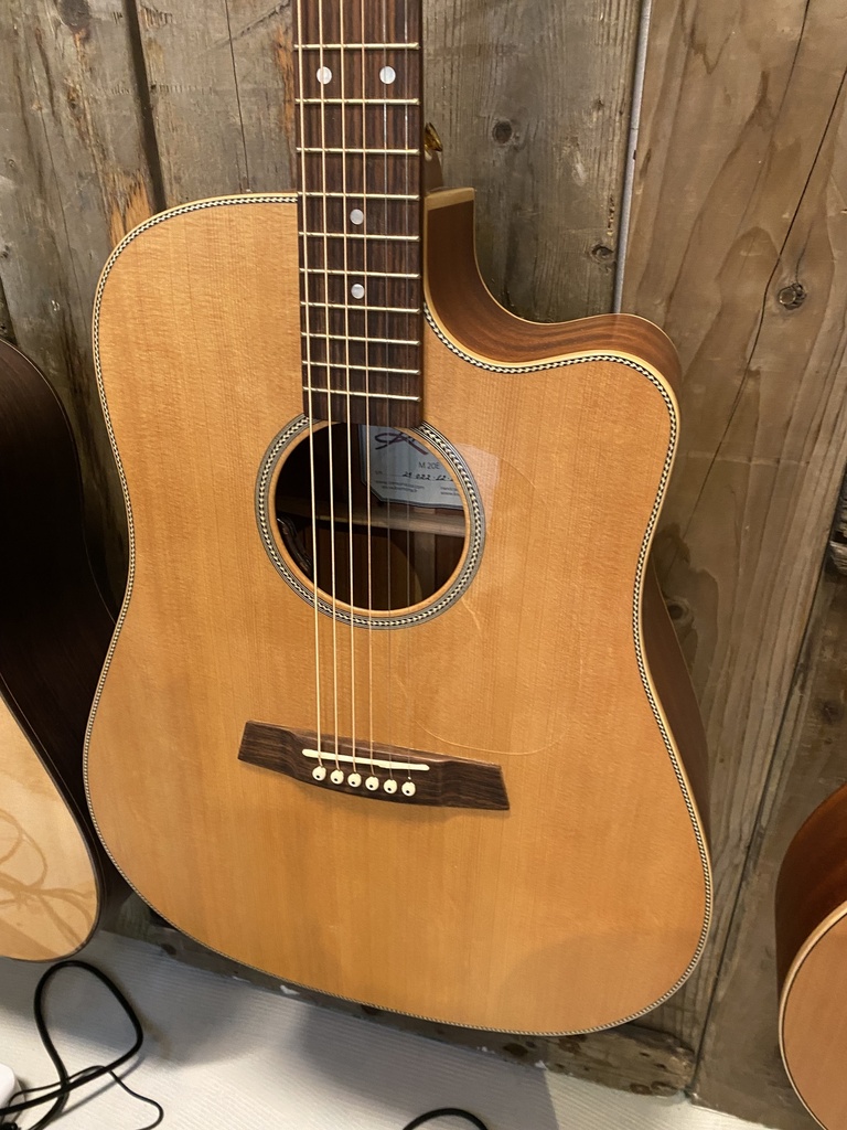 Kremona M20E met Fishman pick-up