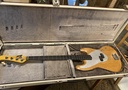 Bacci Amrita Woodworm bass (Michael League signature)