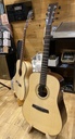 Tyrone GOLD D, Rosewood, highgloss met LR baggs Anthem 